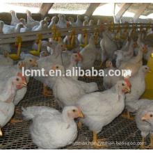 Manufacturer best quality chicken floor raisng equipment for sale